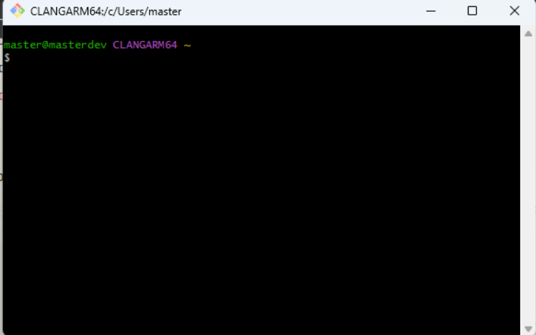 Imagen de la terminal de git bash